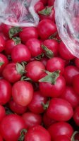 莘县燕店小西红柿，陆续上市
