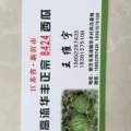 2017新沂西瓜 8424西瓜已经开始上市