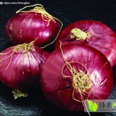 山东昌乐红皮洋葱亩产高，个头大，颜色好看