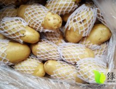 江南蔬果批发市场代销全国各地土豆