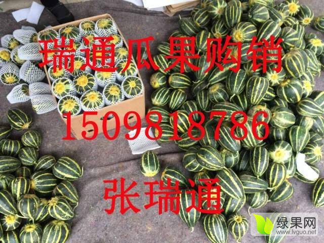 2017年山东寒亭冰糖子价格