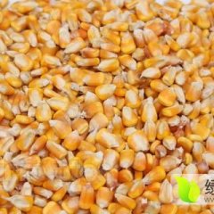 湖南益阳鑫巢农牧，年养殖牲猪10万头