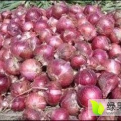 一个收获的季节通许小云祝各位事事顺心