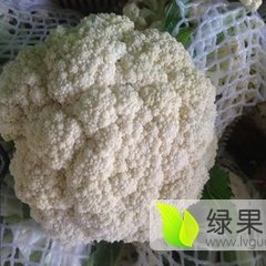 春季有机花大量上市啦，质优价廉