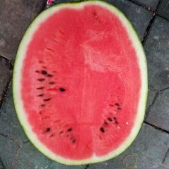 大荔，蒲城西瓜品种丰富持续时间长