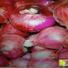 东昌府沙镇出售红皮洋葱，适合市场