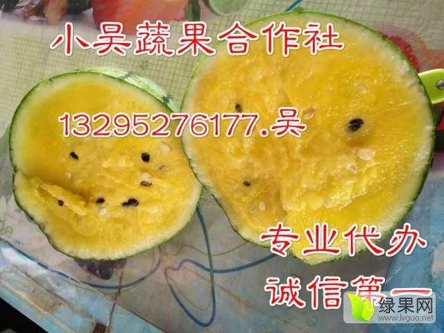特小凤价格