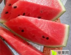 泗水西瓜4月下旬至7月中旬为上市高峰期