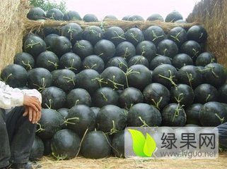 黑皮无籽价格