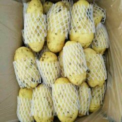 山东昌邑面积30万亩，是全国土豆主要产地