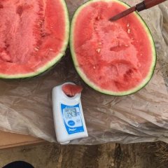 东台大量收购8424，美都，质量要好