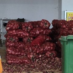 河南红皮洋葱扁个头个头漂亮，市场行情还可