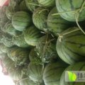 开封县范村乡赤仓农贸市场