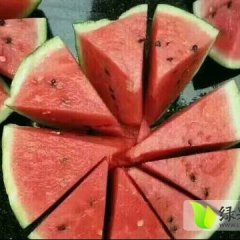 新乐西瓜 2017年西瓜大量上市啦！
