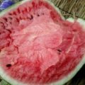 最大的沙地西瓜产地（辽宁新民、内蒙通辽）