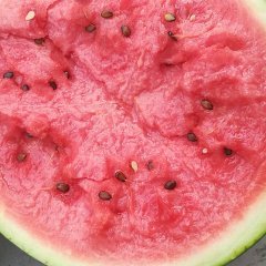 陕西时令水果，京欣西瓜，甜王西瓜