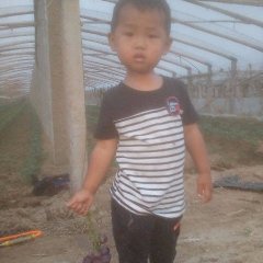 东昌府莆萄颗粒匀口感好