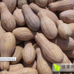 湖北省嘉鱼县为全国重点蔬菜基地