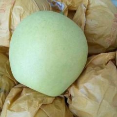 2017砀山翠玉梨，皇冠梨丰水梨大量上市