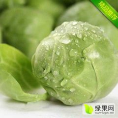 2017太谷甘蓝种植面积广，品种好