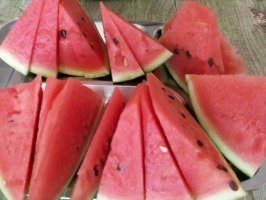 定州西瓜 西瓜个大，果型好