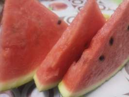 凌海西瓜 西瓜供应 本人已经代办了多年