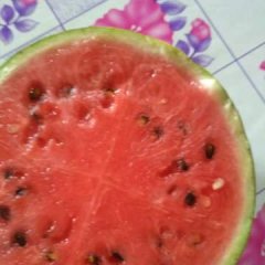 河北广宗北淤疃村李书岭无敌京欣西瓜