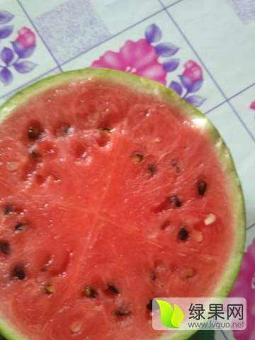 2017年河北广宗无敌京欣价格