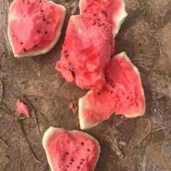 辽宁省凌海市大量西瓜、土豆