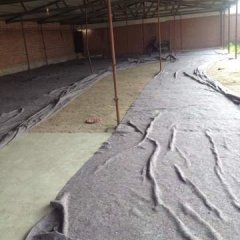 宁城县西红柿基地西红柿已开始大量上市