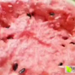 曲周我公司常年供应甘蓝，紫甘蓝