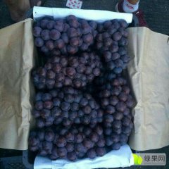 广西柳城县夏黑葡萄开始上市了