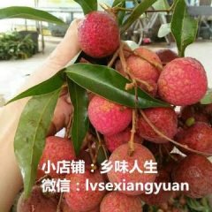 漳浦乌石荔枝 乌石荔枝甲天下