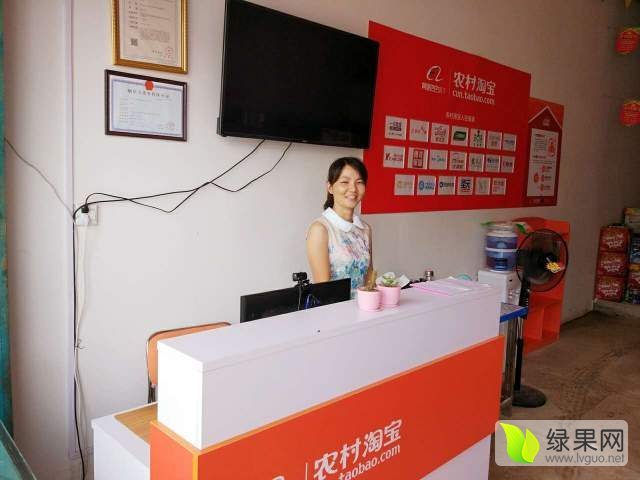 黑美人价格