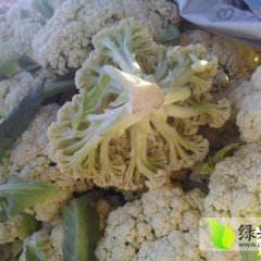 我的家乡在大西北的甘肃省张掖市