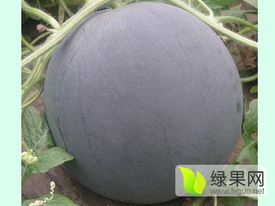 京欣价格
