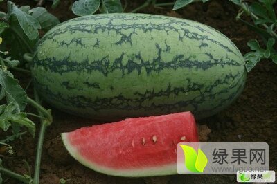 冠龙价格