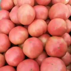 山东东昌府果型好 硬度好 色泽鲜