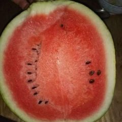 2017靖远西瓜 本人常年经销西瓜和水果