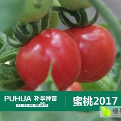 山东聊城市朴华农业有限公司