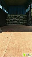 太康常营黄银辉7月8424西瓜