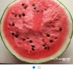 2017玉田西瓜大量上市，品种优，瓜果甜