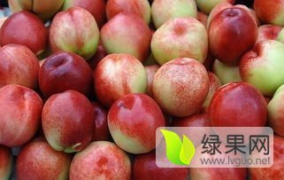 大荔蜜桃 毛桃品种很多，毛桃价格稳定