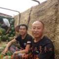 辽宁新民西瓜产地西瓜已上市，冷棚西瓜