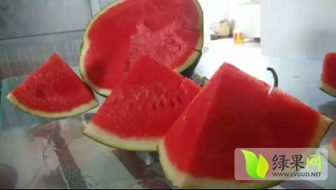 黑皮无籽价格