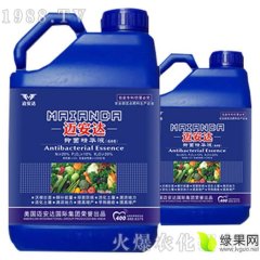 南郑龙卷风西瓜 今年种植了700多亩