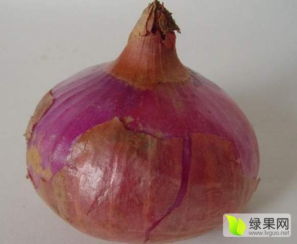 2019年河北定州紫皮洋葱价格