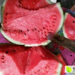 中国陕西北部黄土高原水果之乡