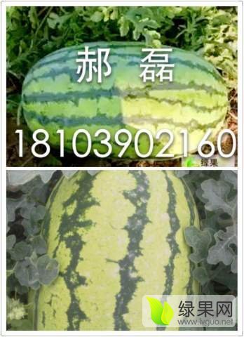 安农二号价格