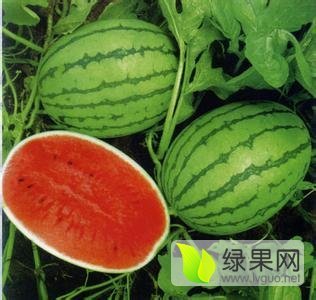 2017年河南夏邑龙卷风价格